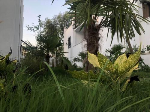 modern-life-bodrum-galeri-8